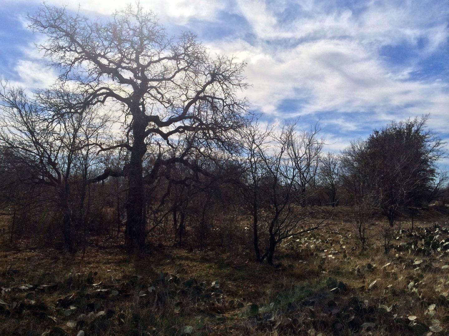 17 acres in Stephens County, Texas