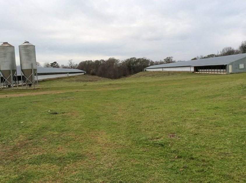 138.81 acres in Shelby County, Texas