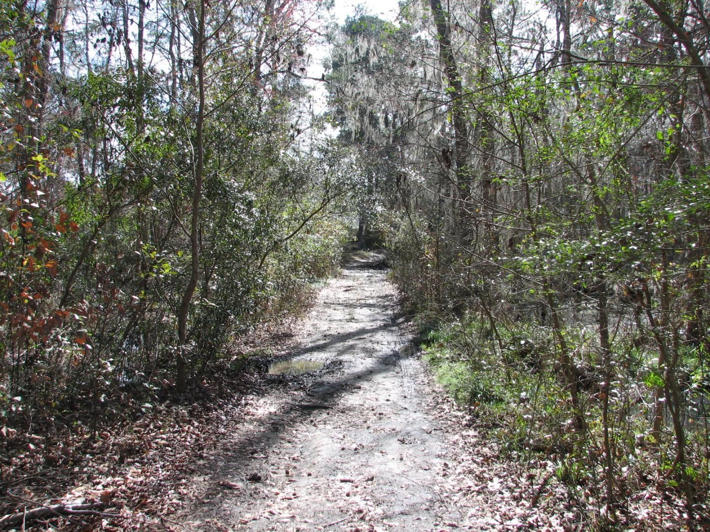 6 acres in Bryan County,