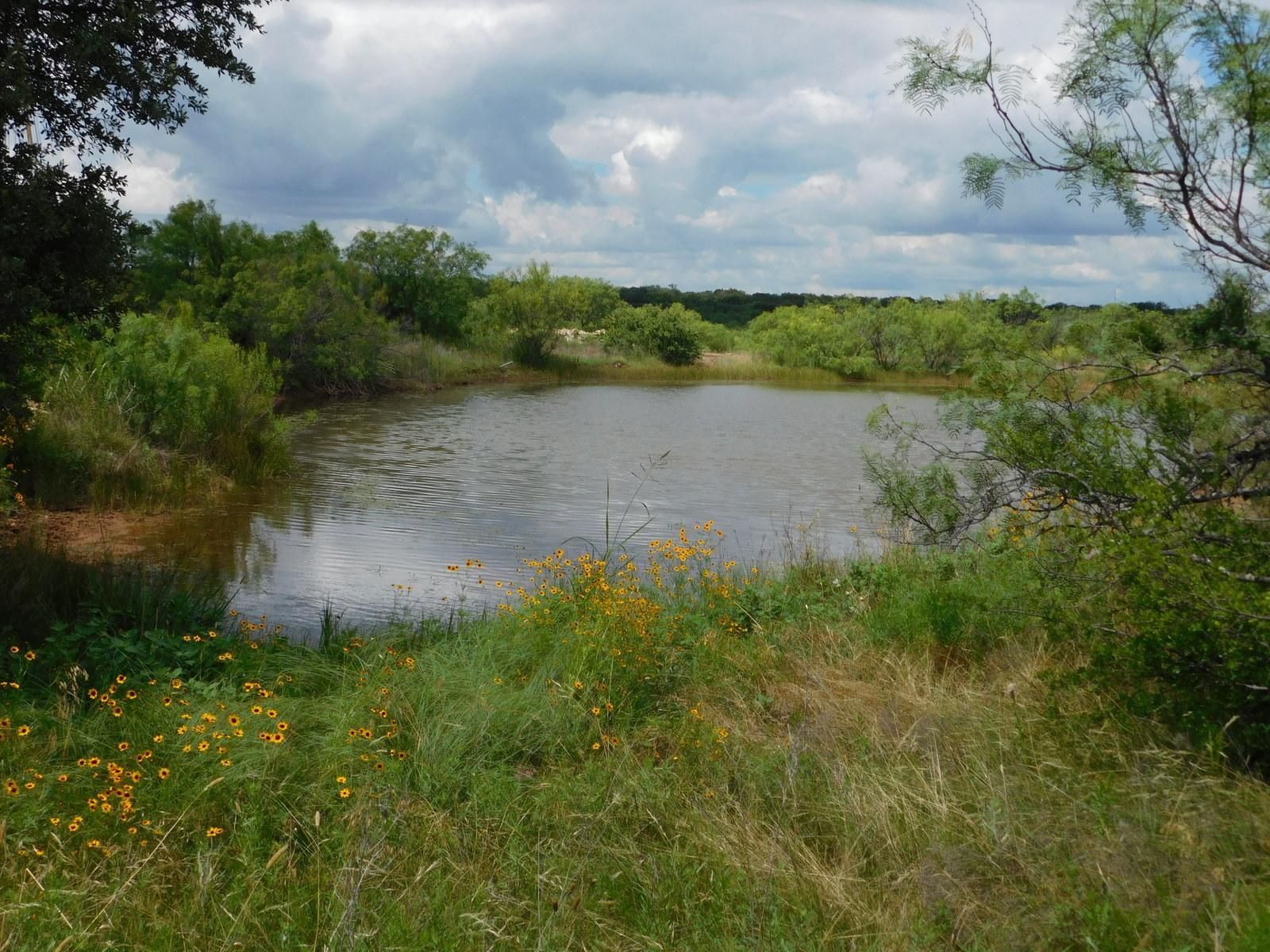 39.85 acres in Coleman County, Texas