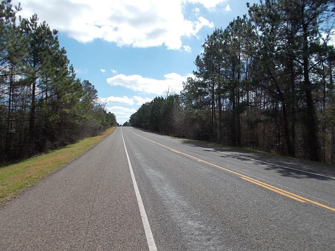 174 acres in Tyler County, Texas