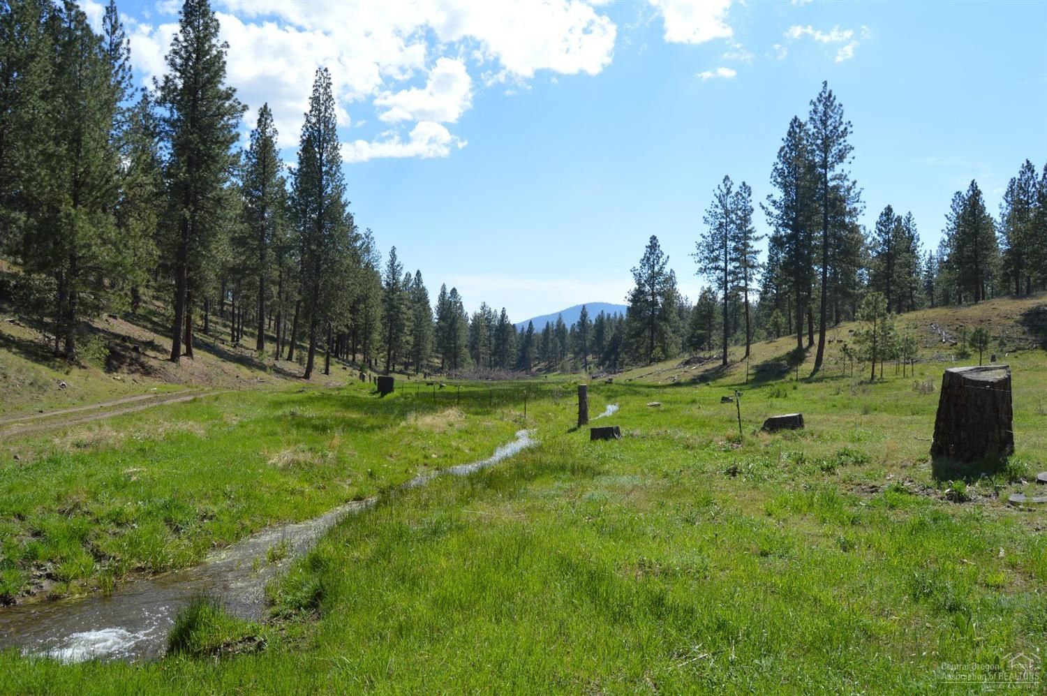 85 acres in Jefferson County, Oregon