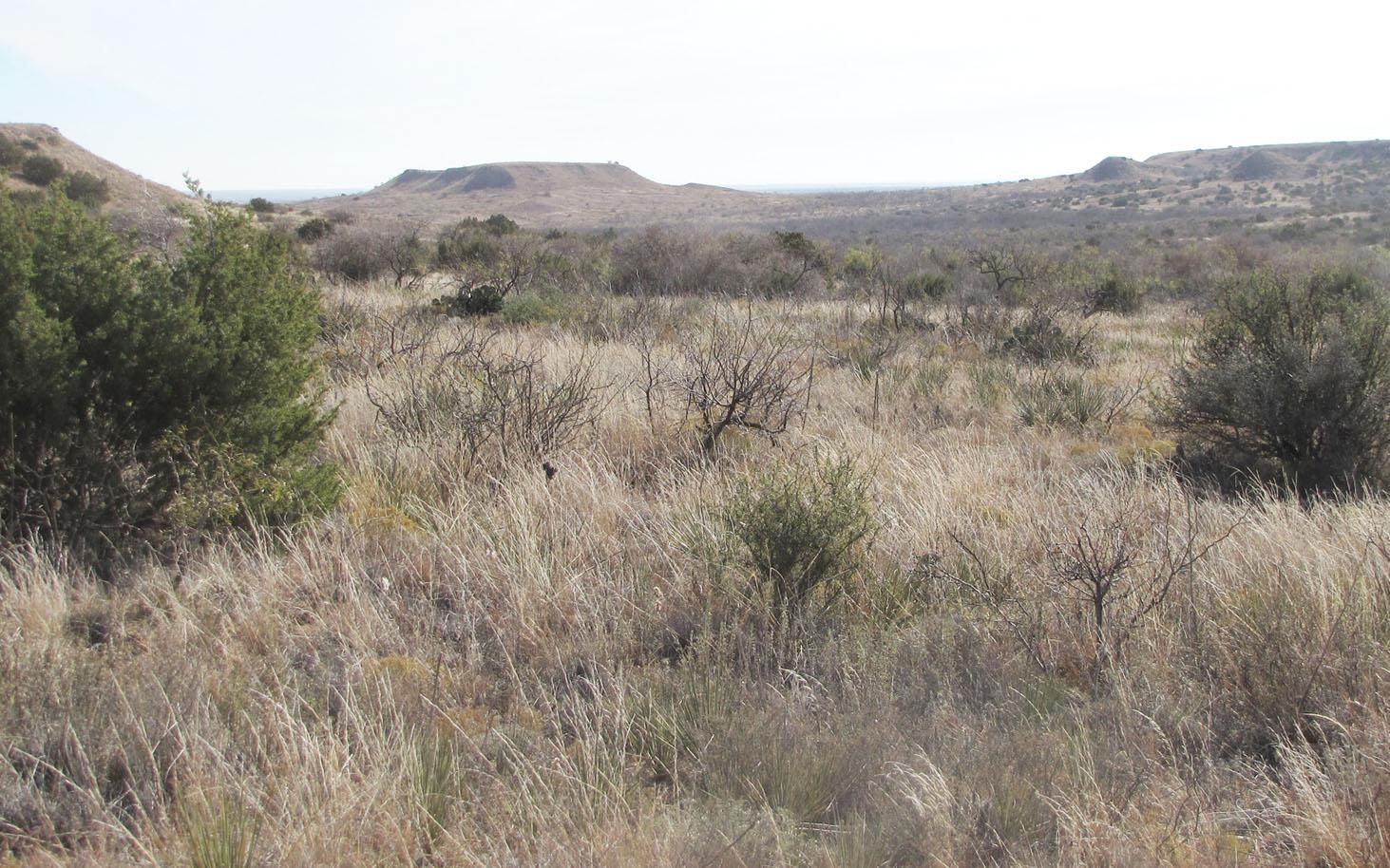 556.57 acres in Garza County, Texas