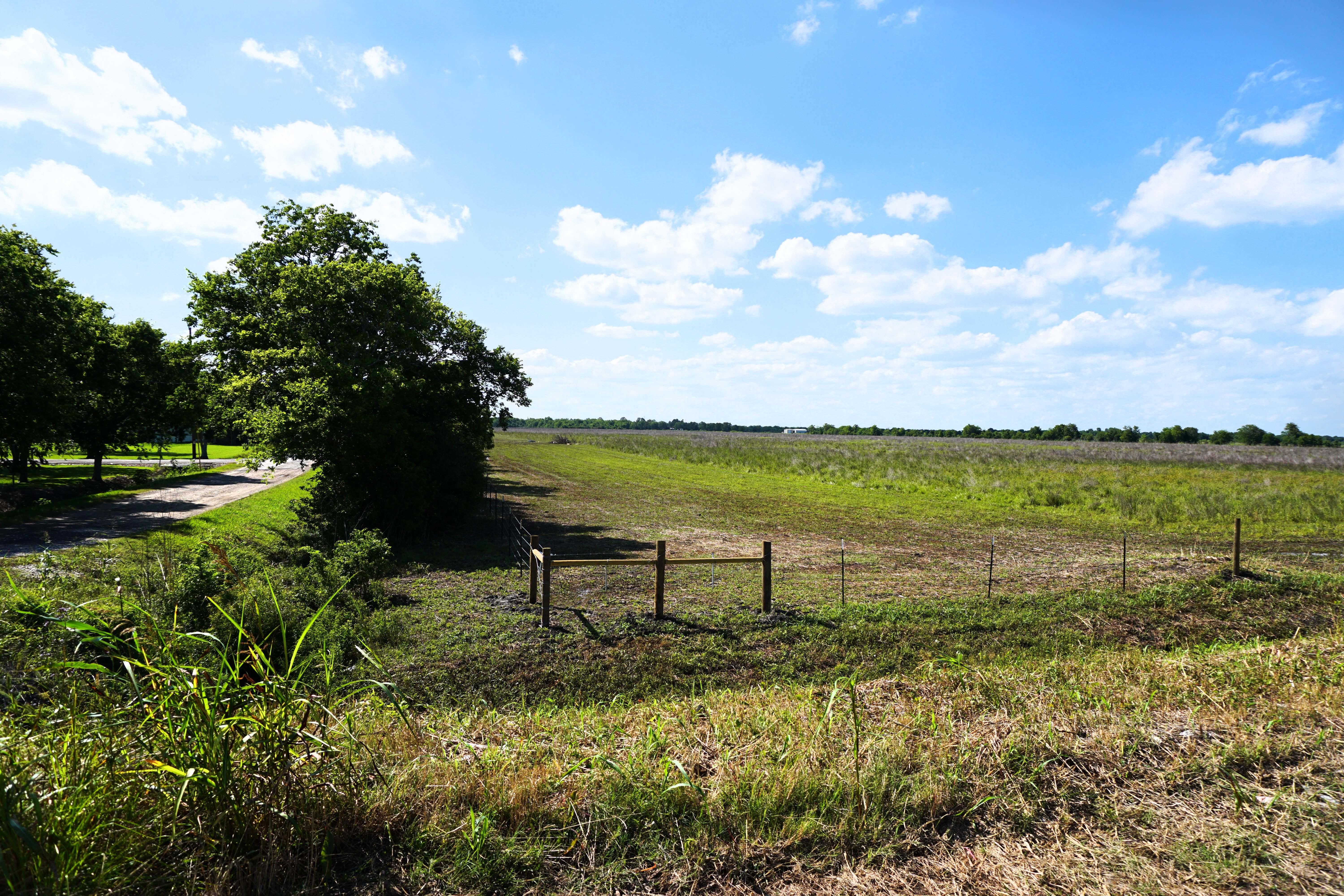 90.81 acres in Brazoria County, Texas