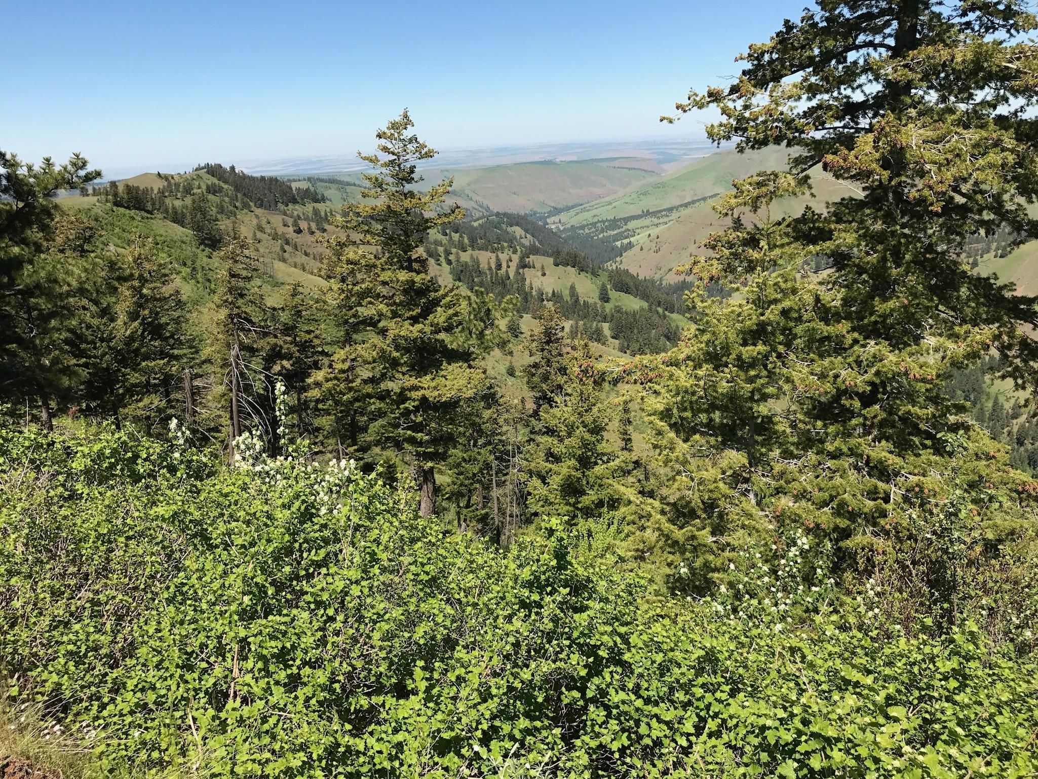 937 acres in Columbia County, Washington