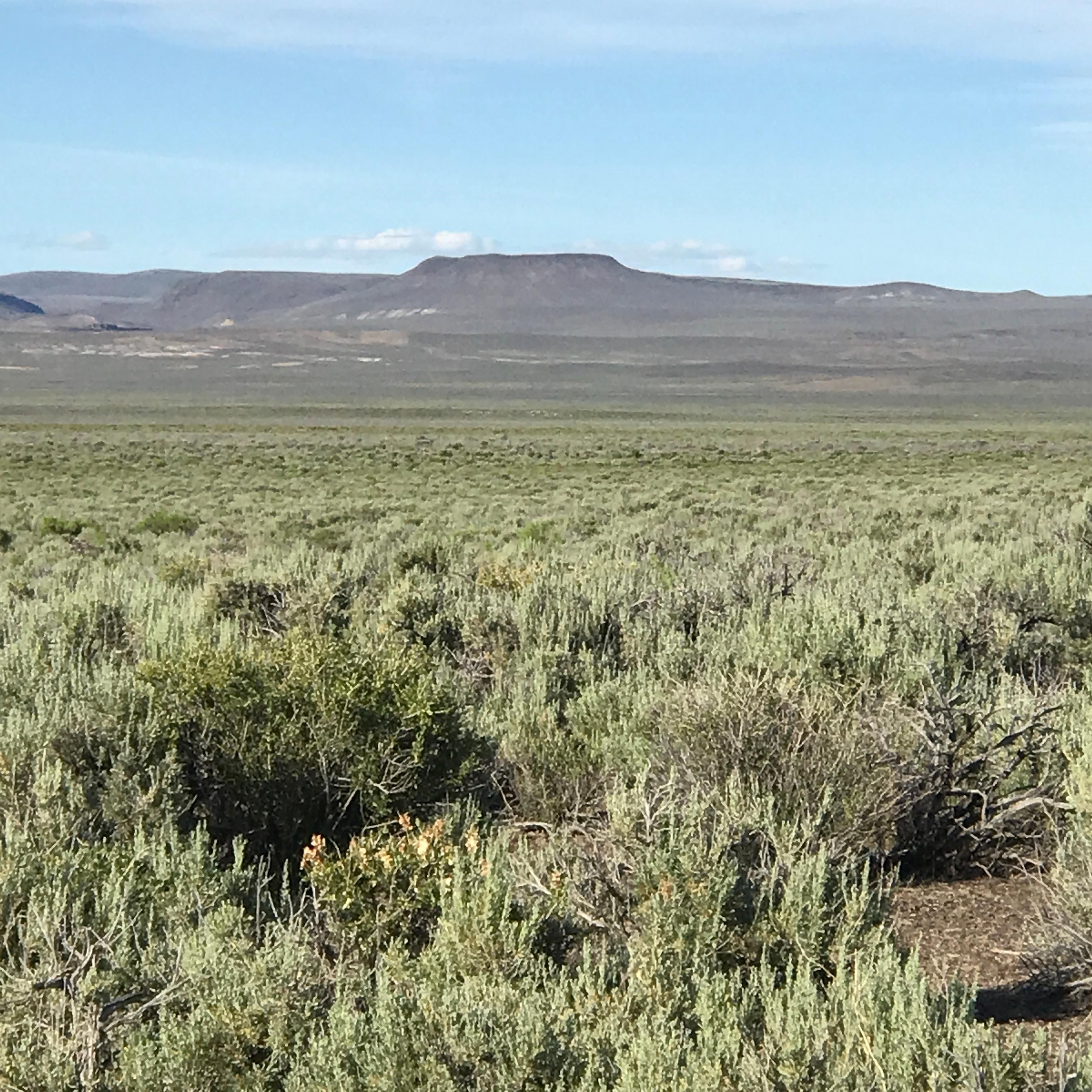 920 acres in Washoe County, Nevada