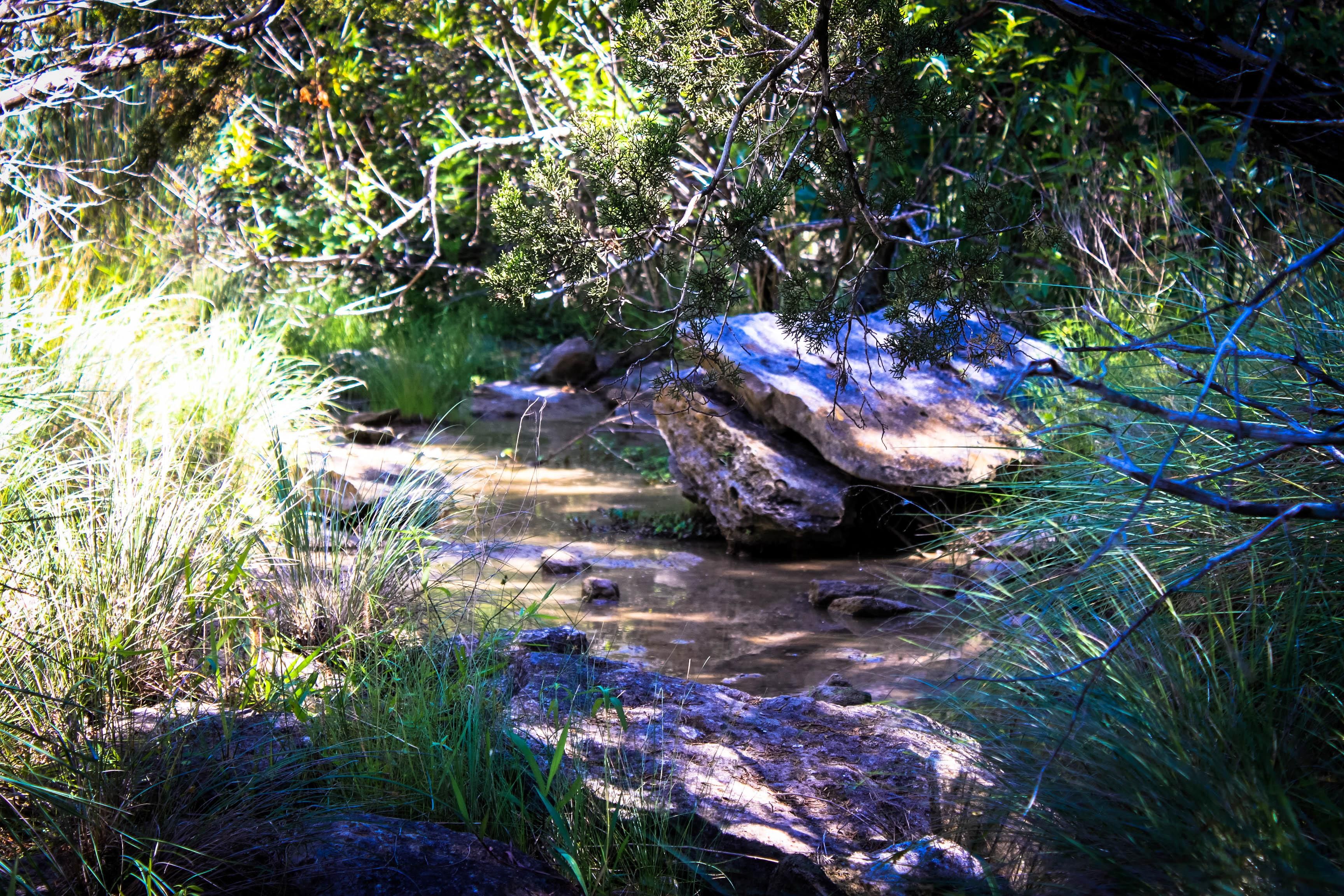 71.84 acres in County, Texas