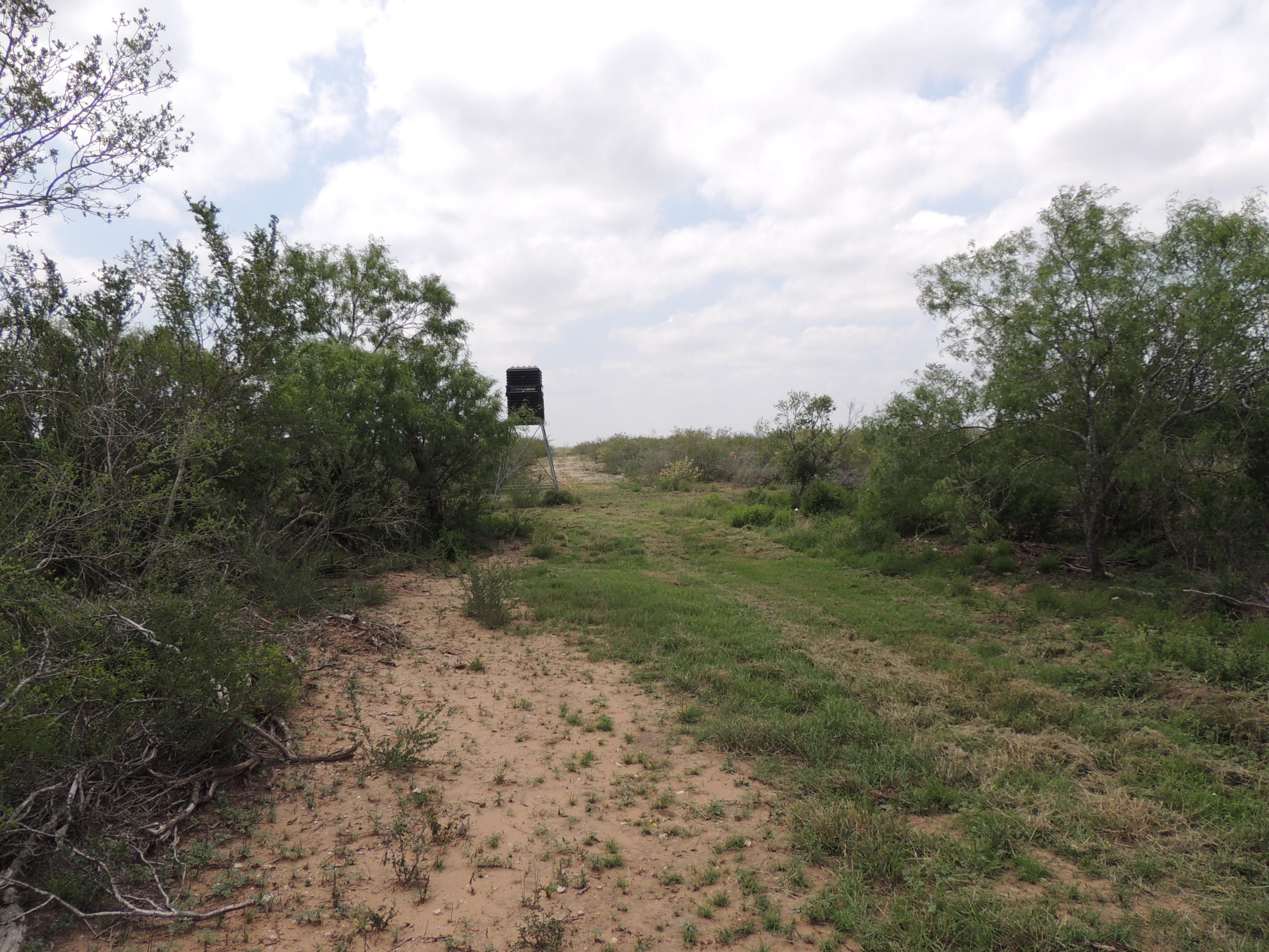 476 acres in Duval County, Texas