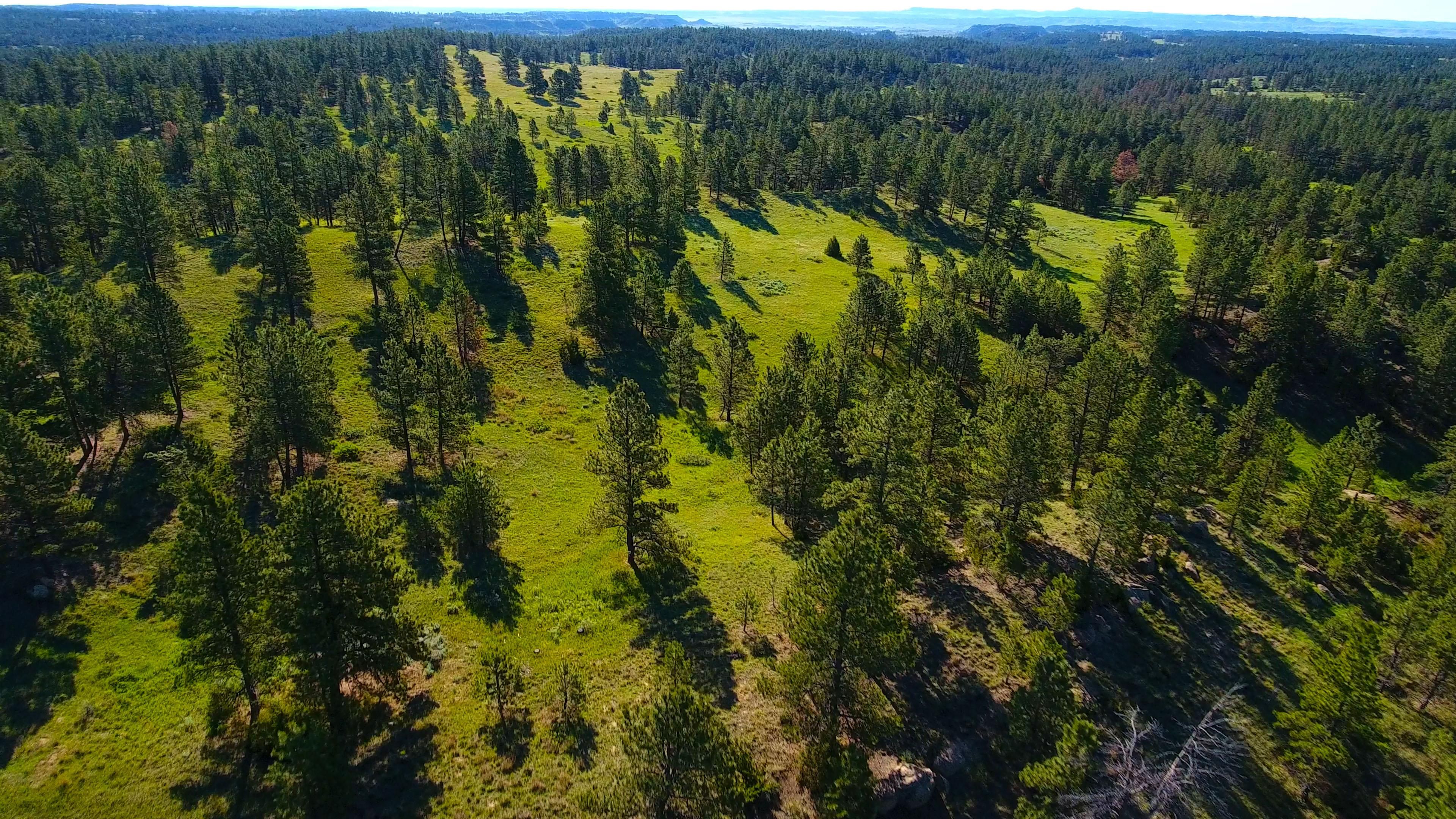 9,680.5 acres in Rosebud County, Montana