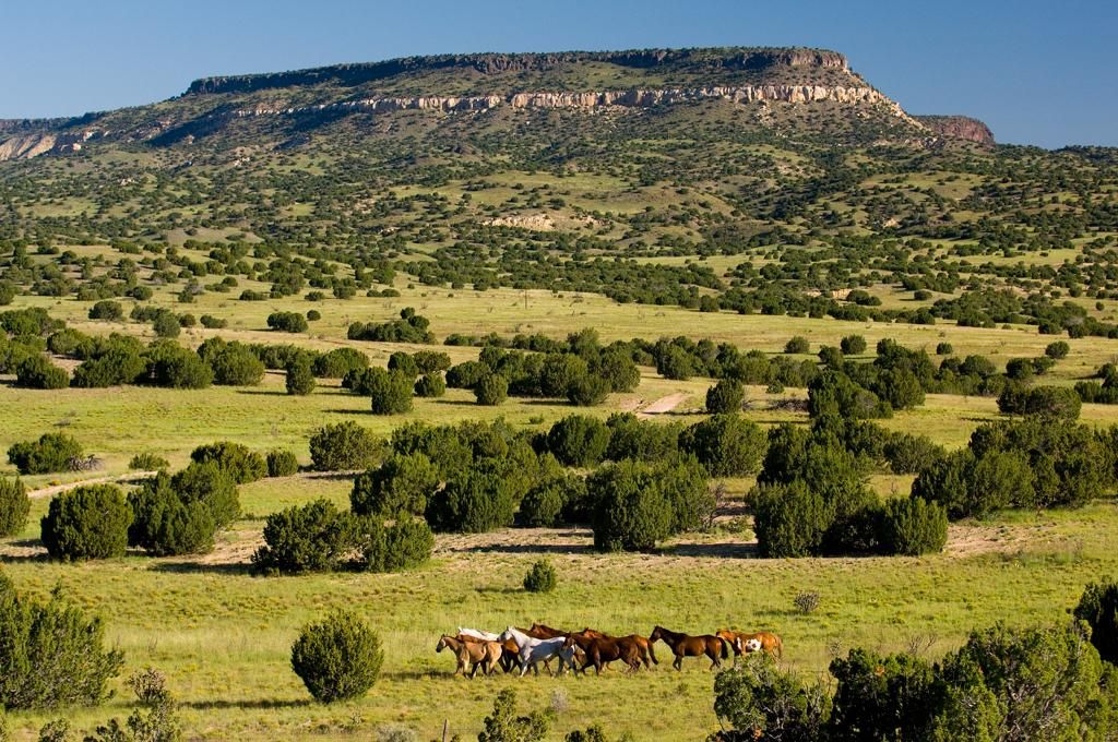 5187.00 acres in Cibola County, New Mexico