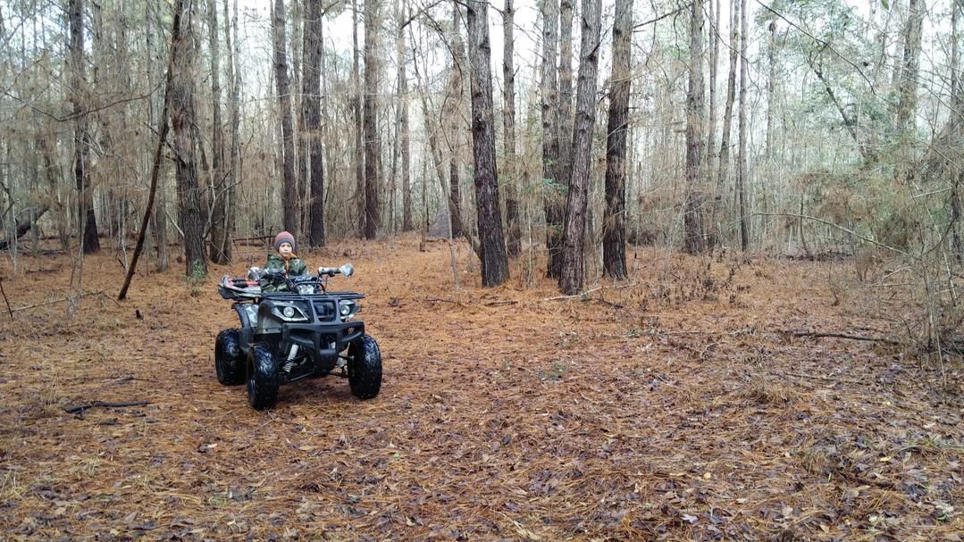 100 acres in Vernon Parish, Louisiana