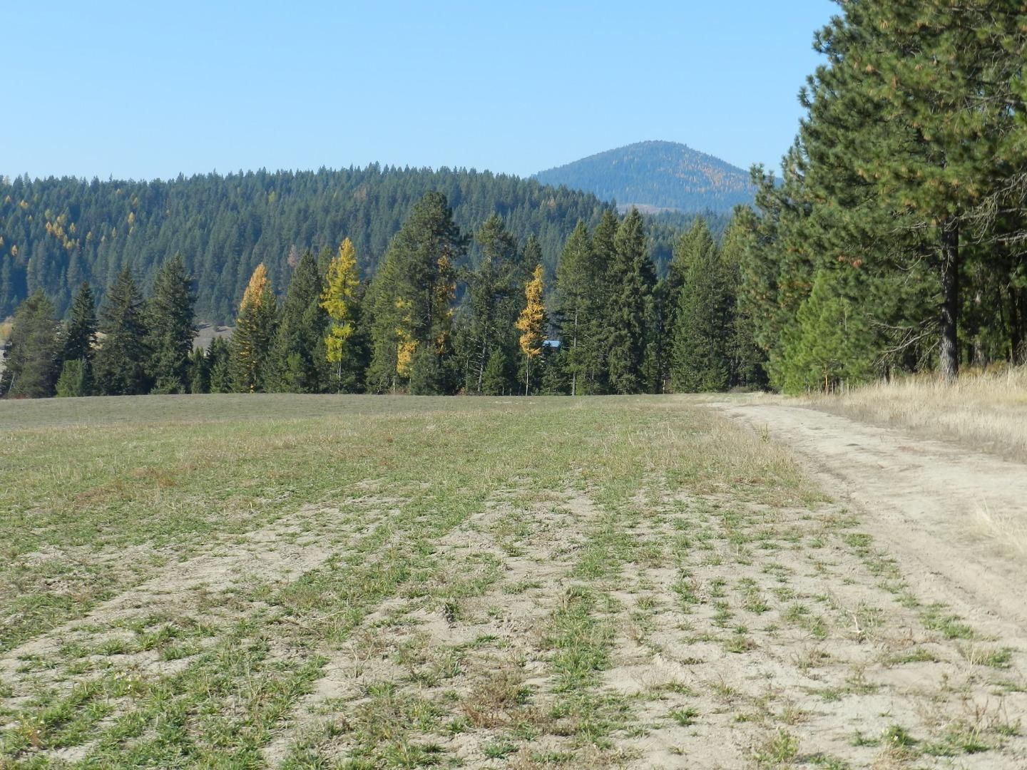 66.38 acres in Latah County, Idaho