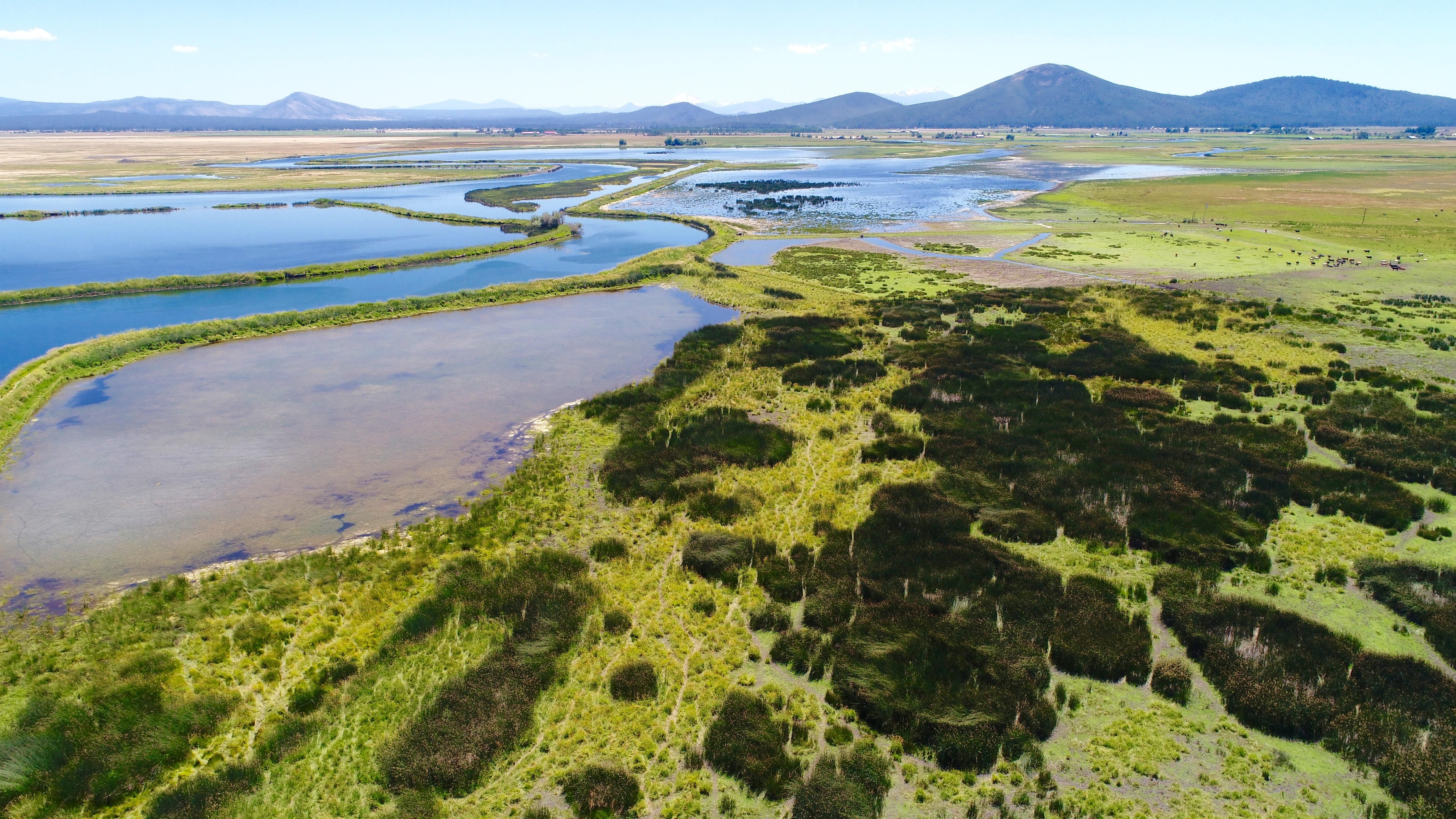 1100.00 acres in Shasta County, California