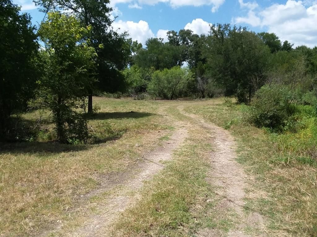 36 acres in Caldwell County, Texas