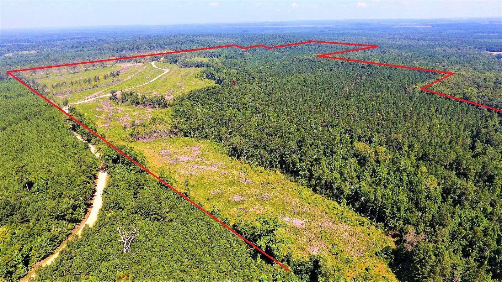 190 acres in Clark County, Arkansas