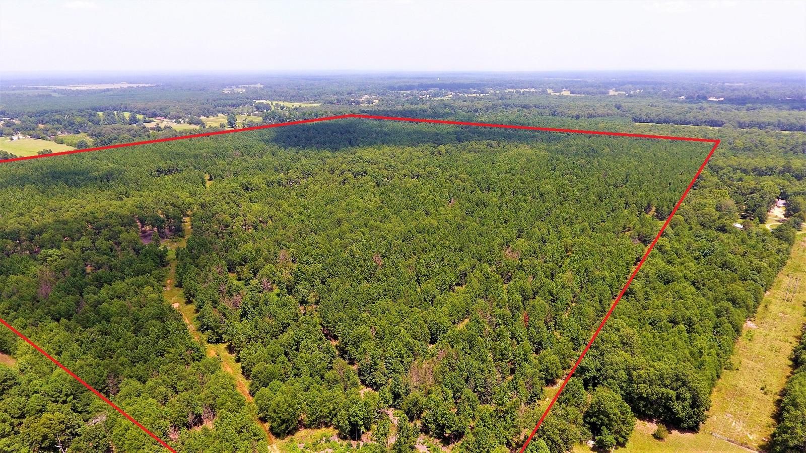 160 acres in Little River County, Arkansas