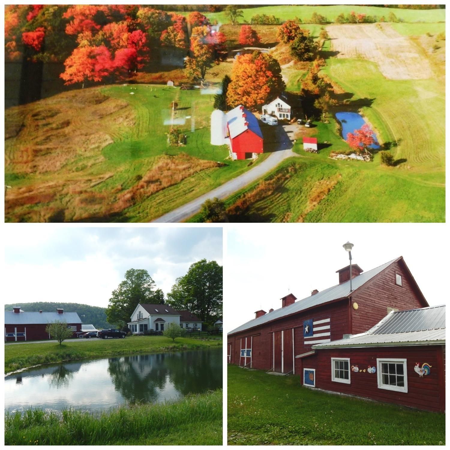 188.43 acres in Otsego County, New York