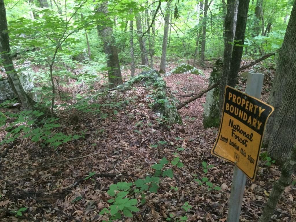 15 acres in Newton County, Arkansas