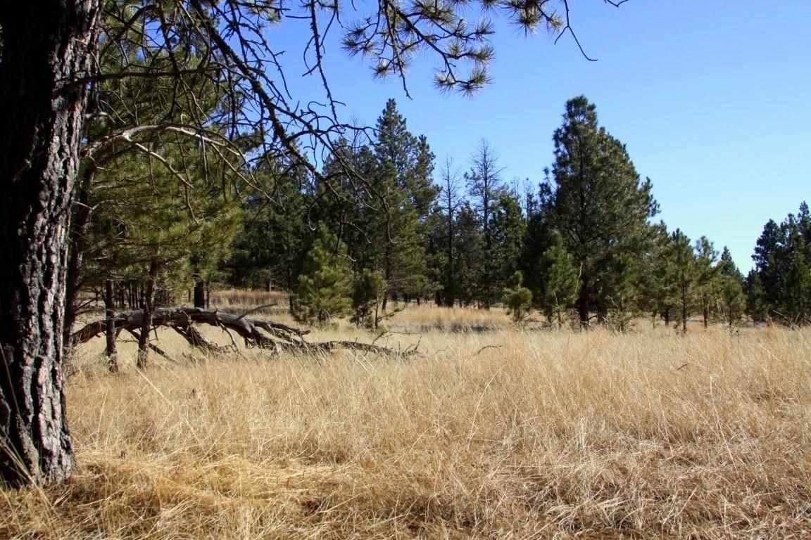 9.78 acres in Fall River County, South Dakota