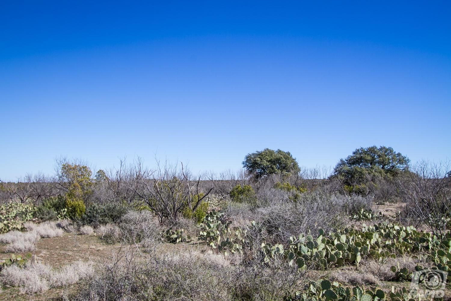 15 acres in Tom Green County, Texas