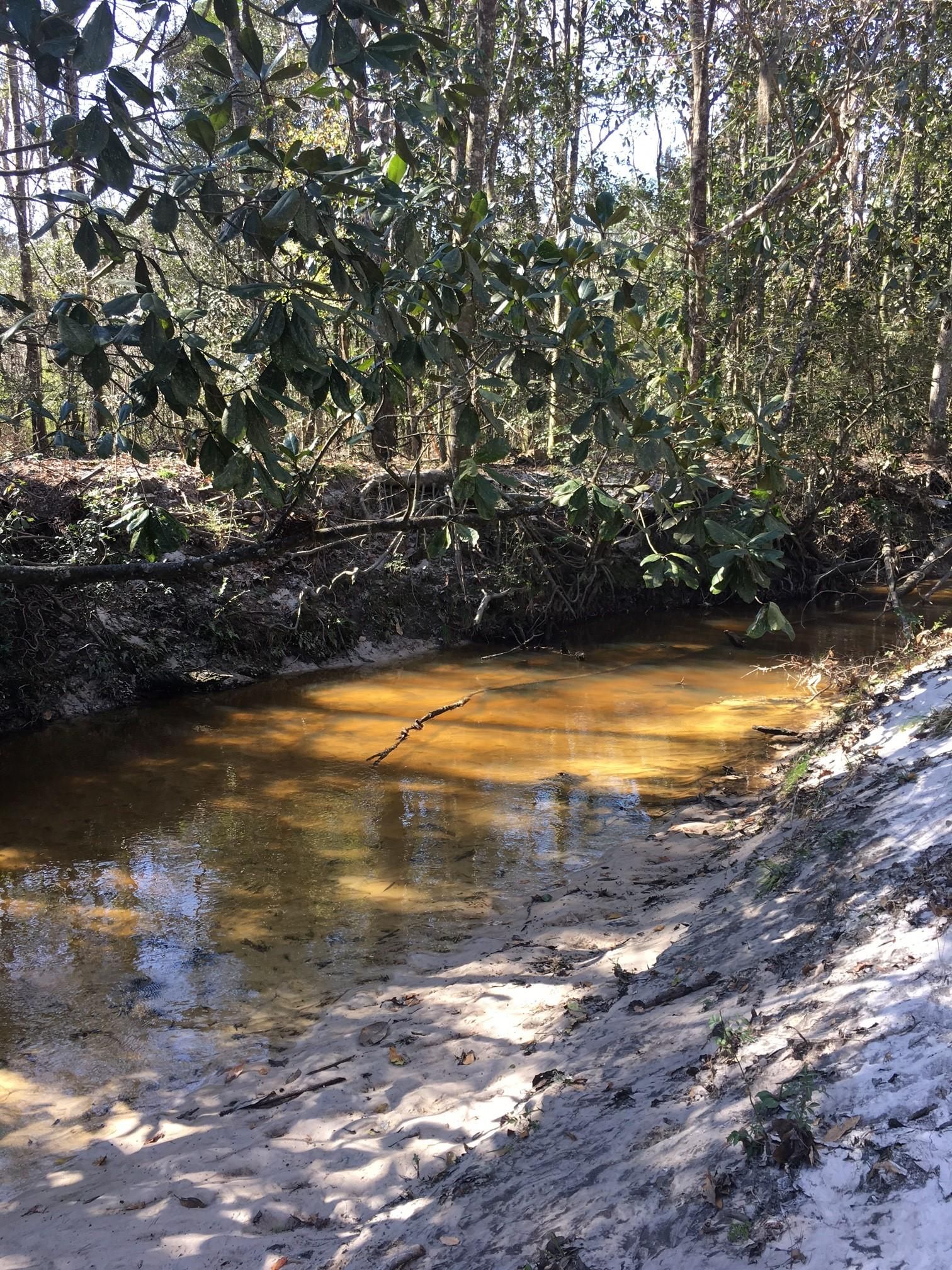 48.93 acres in Grady County,