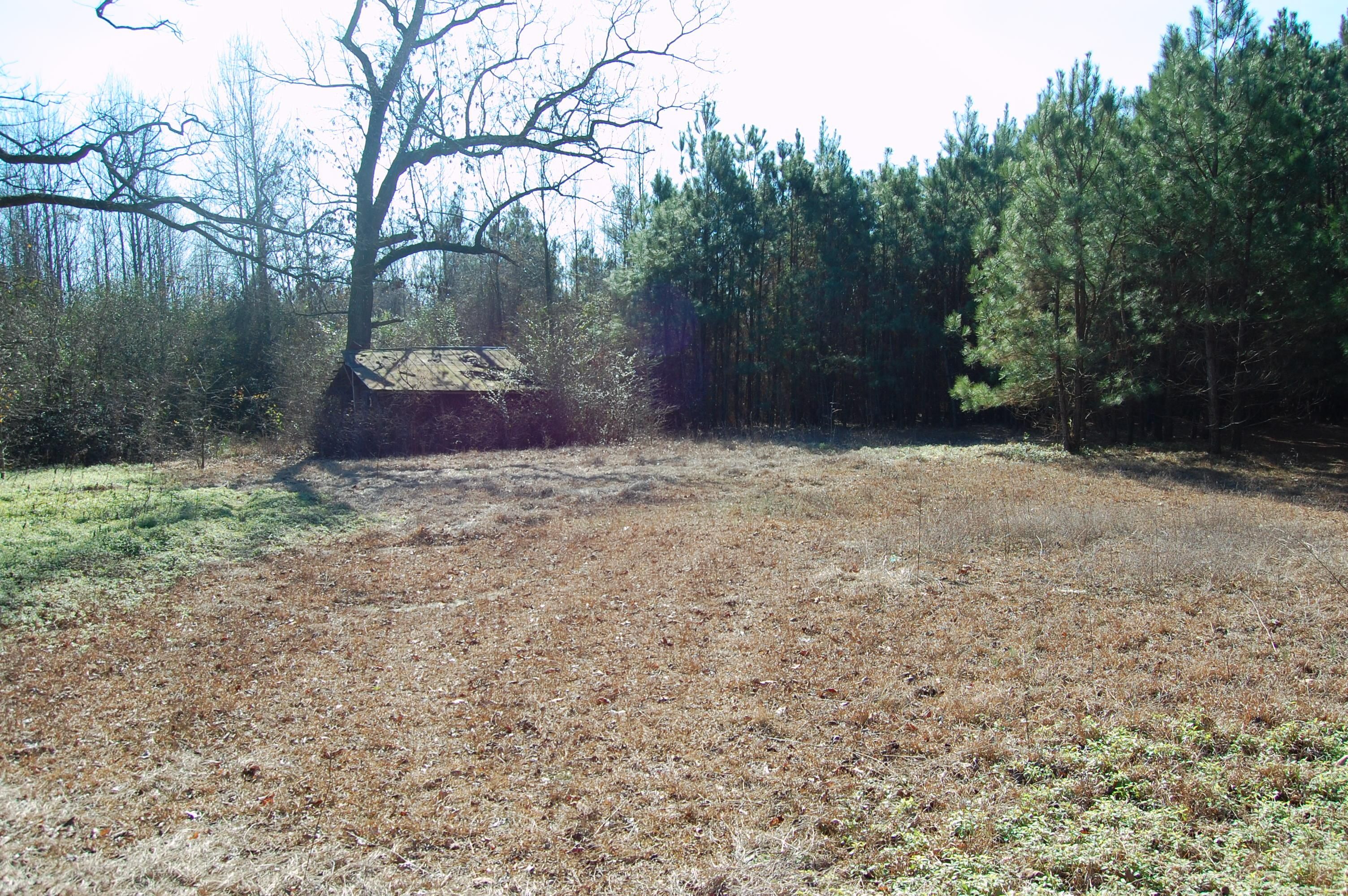 46.75 acres in Duplin County, North Carolina