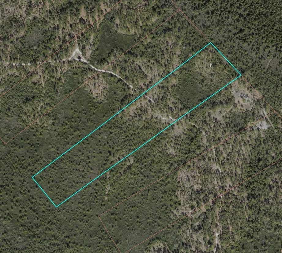 10 acres in Pender County, North Carolina