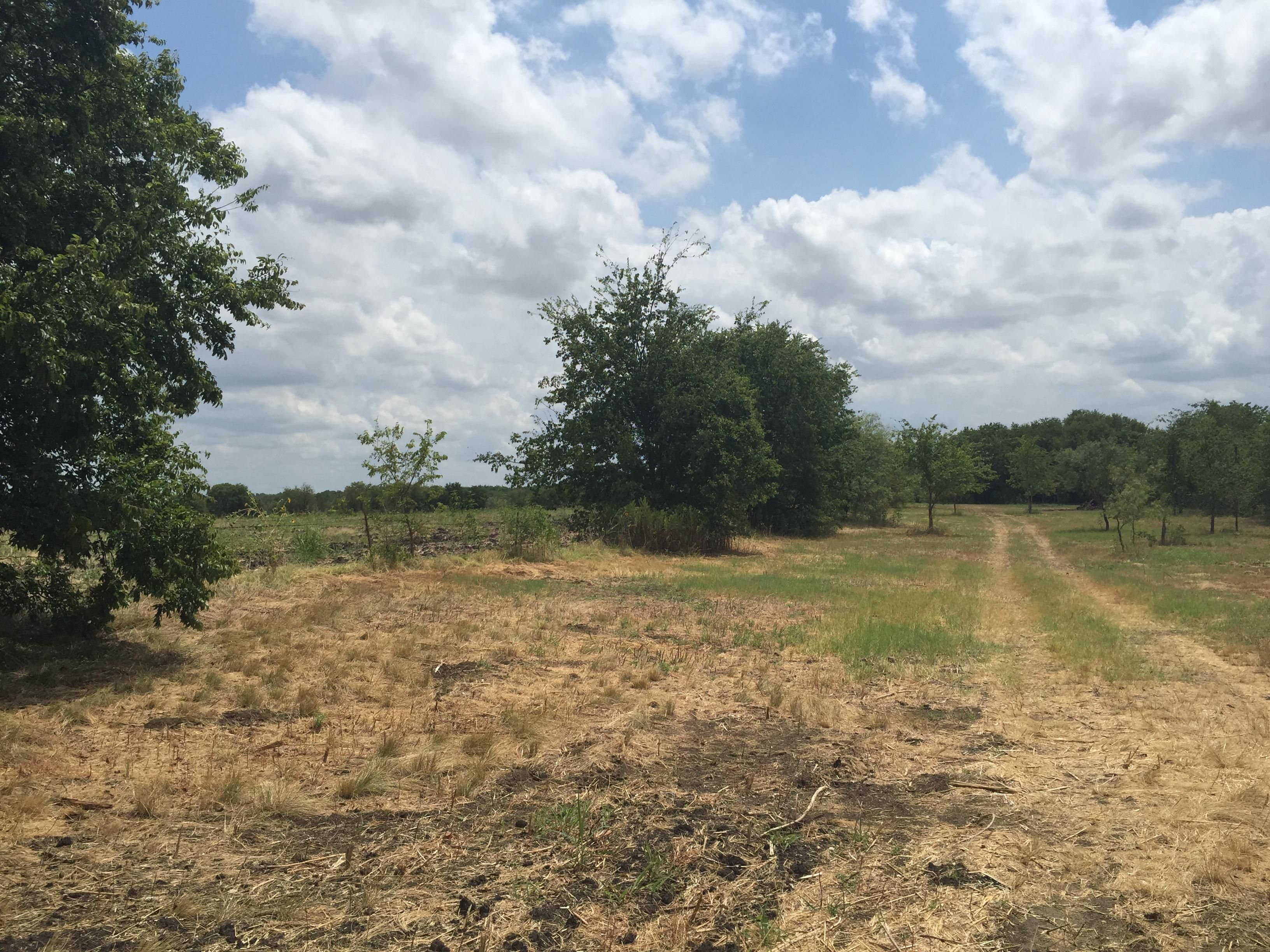 116 acres in Ellis County, Texas