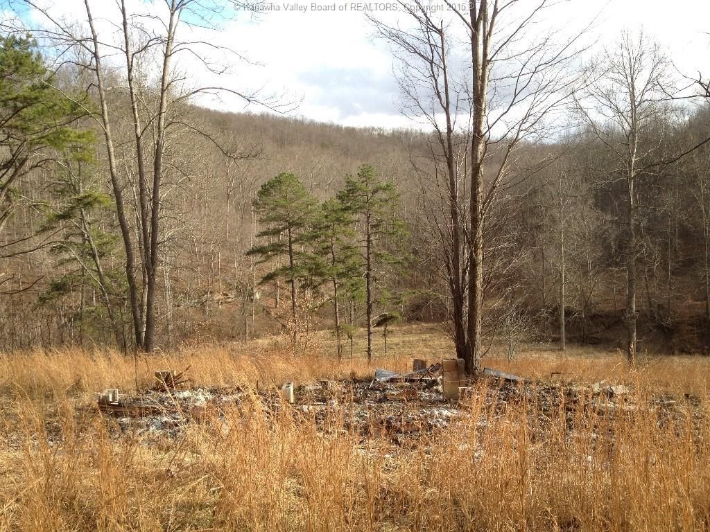115 acres in Wayne County, West Virginia