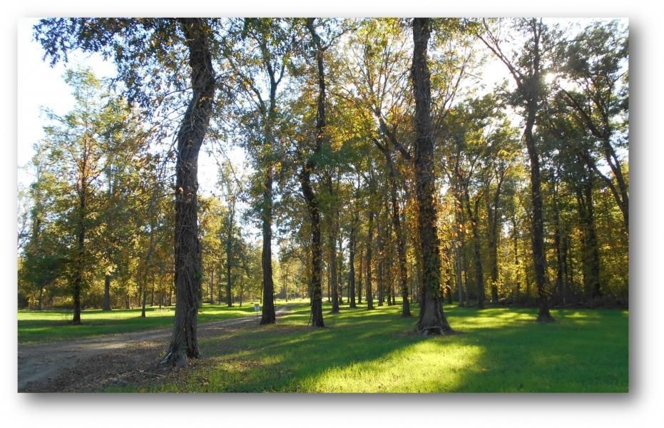 13,000 acres in Bolivar County, Mississippi