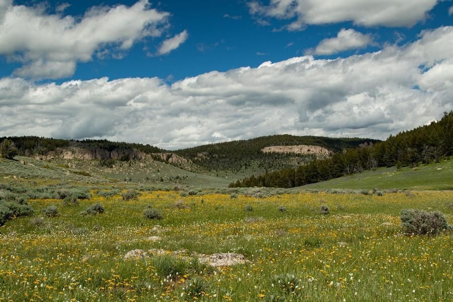 1,291 acres in Johnson County, Wyoming