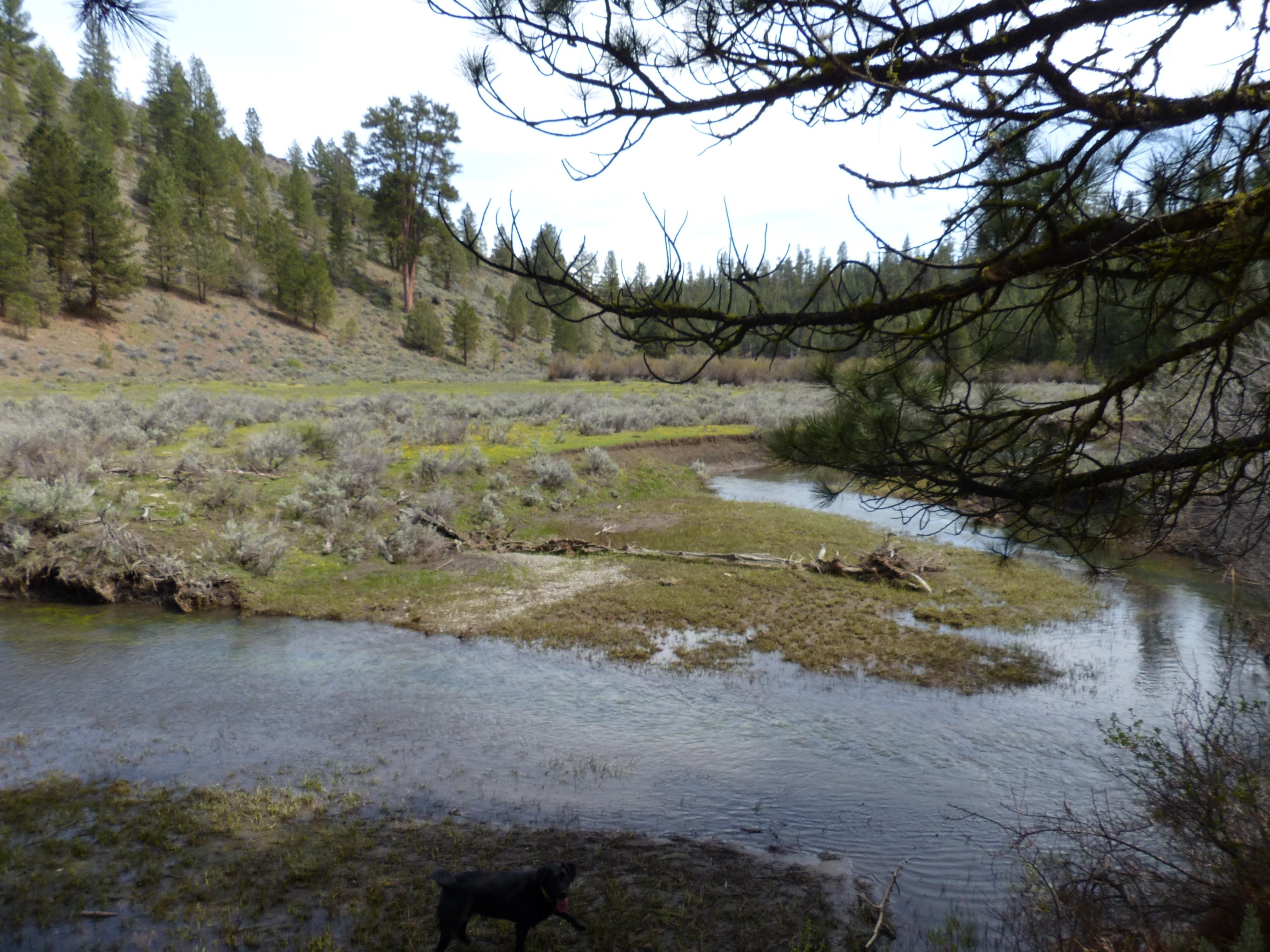 320 acres in Harney County, Oregon