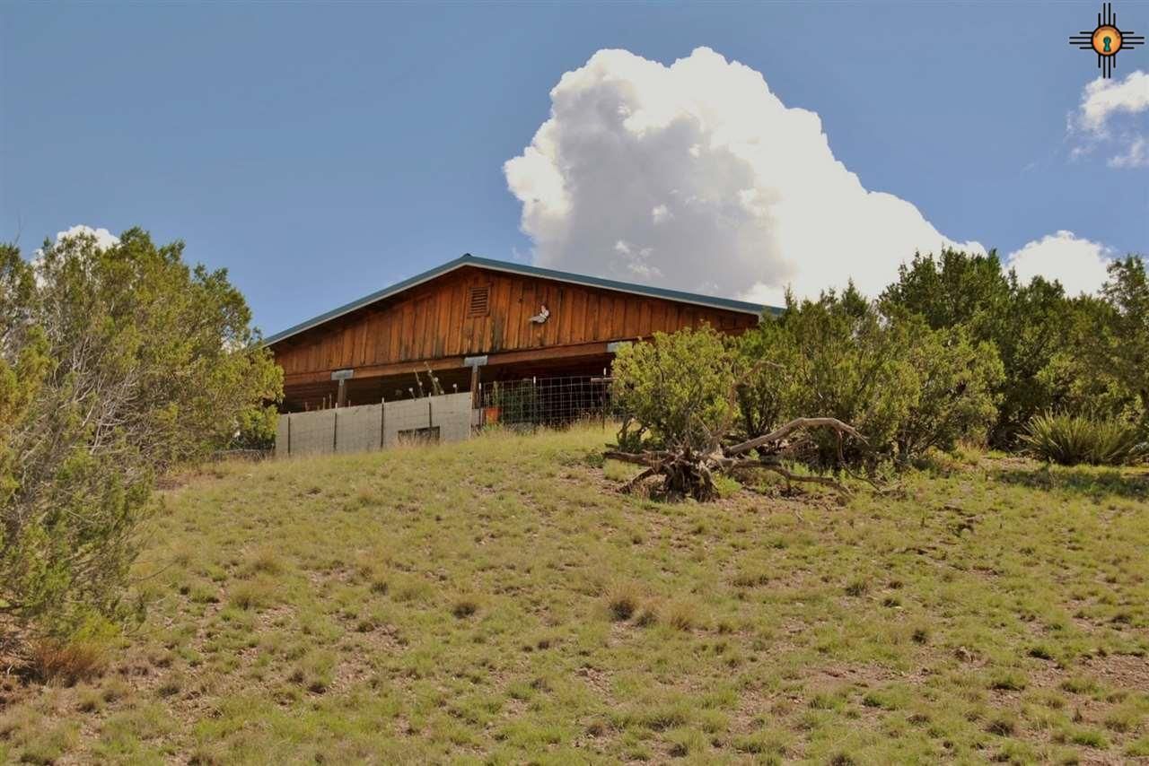 5.3 acres in Sierra County, New Mexico
