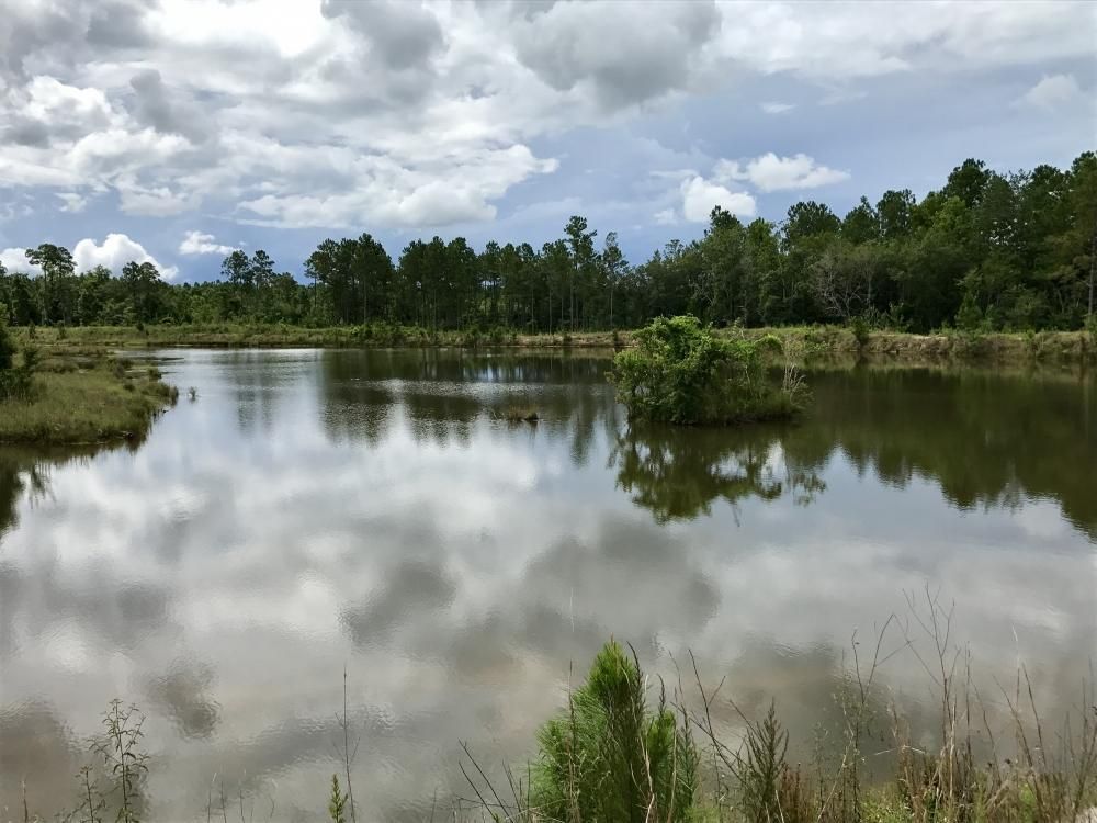 81 acres in Baldwin County, Alabama