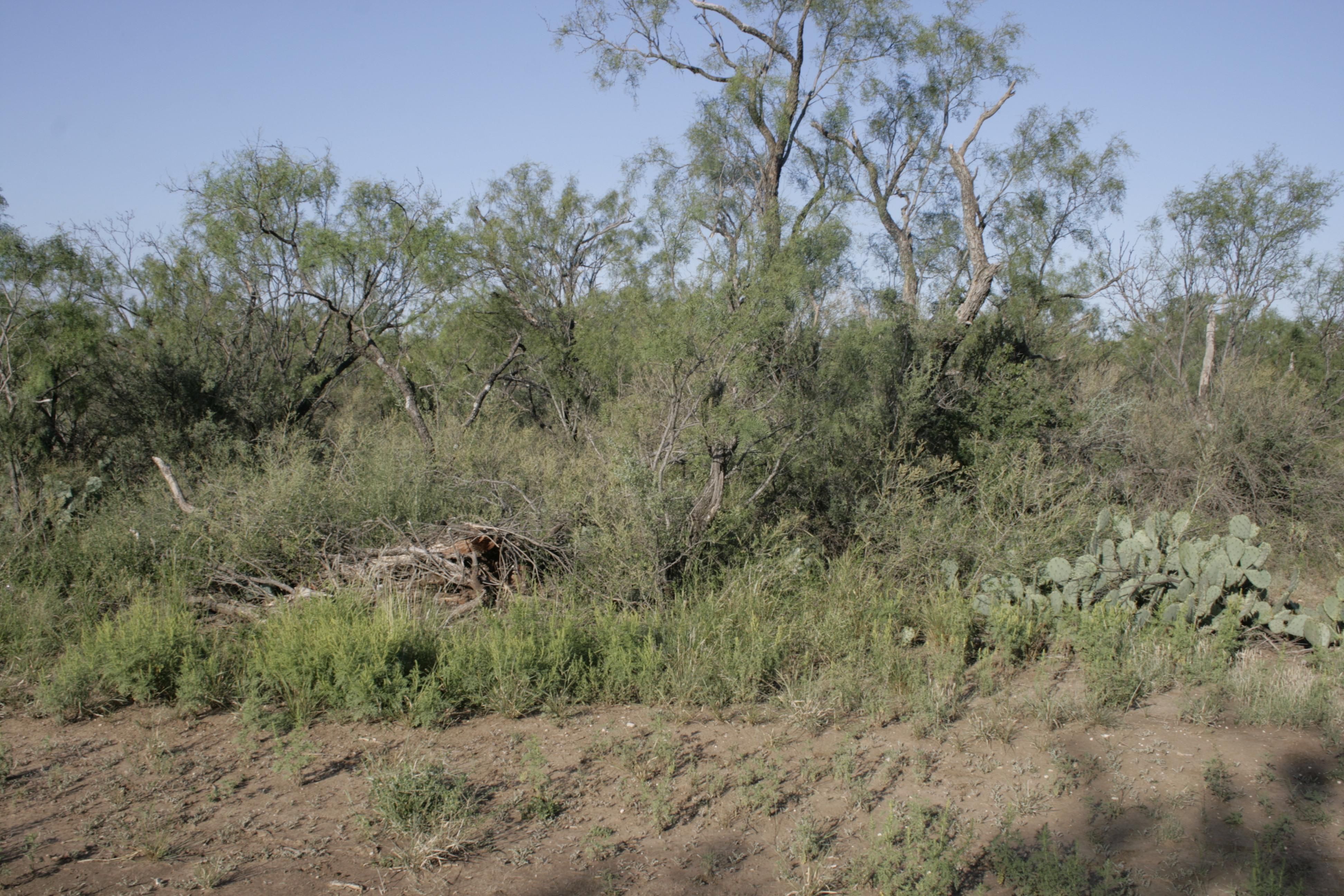 4.7 acres in Tom Green County, Texas