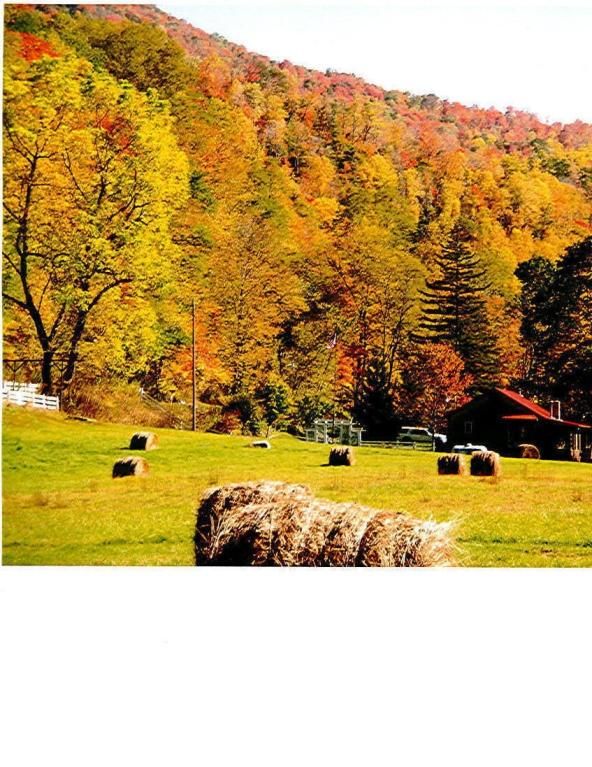 8 acres in Randolph County, West Virginia
