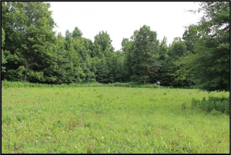 2,156 acres in Sharkey County, Mississippi