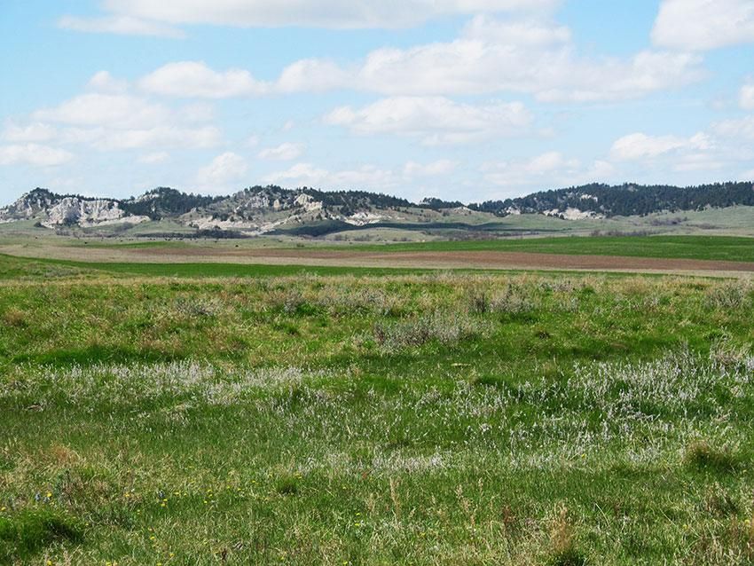 3,775 acres in Harding County, South Dakota