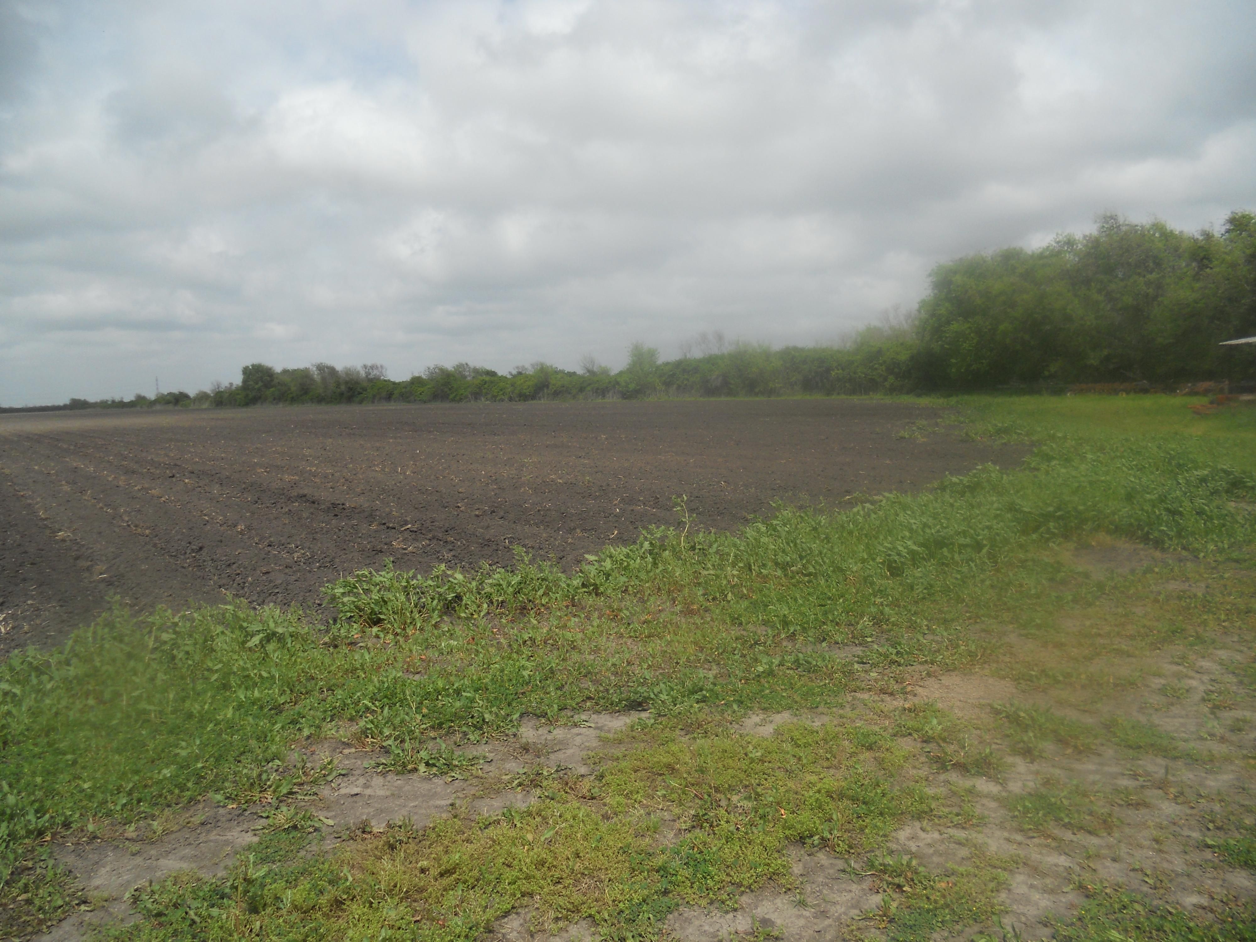 80 acres in Wharton County, Texas