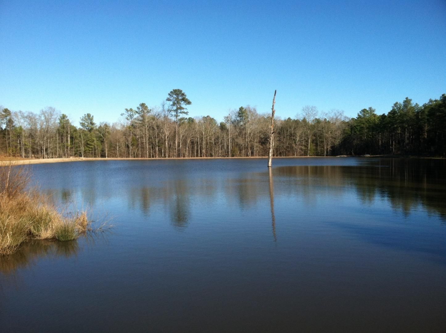 107.00 acres in Elbert County,