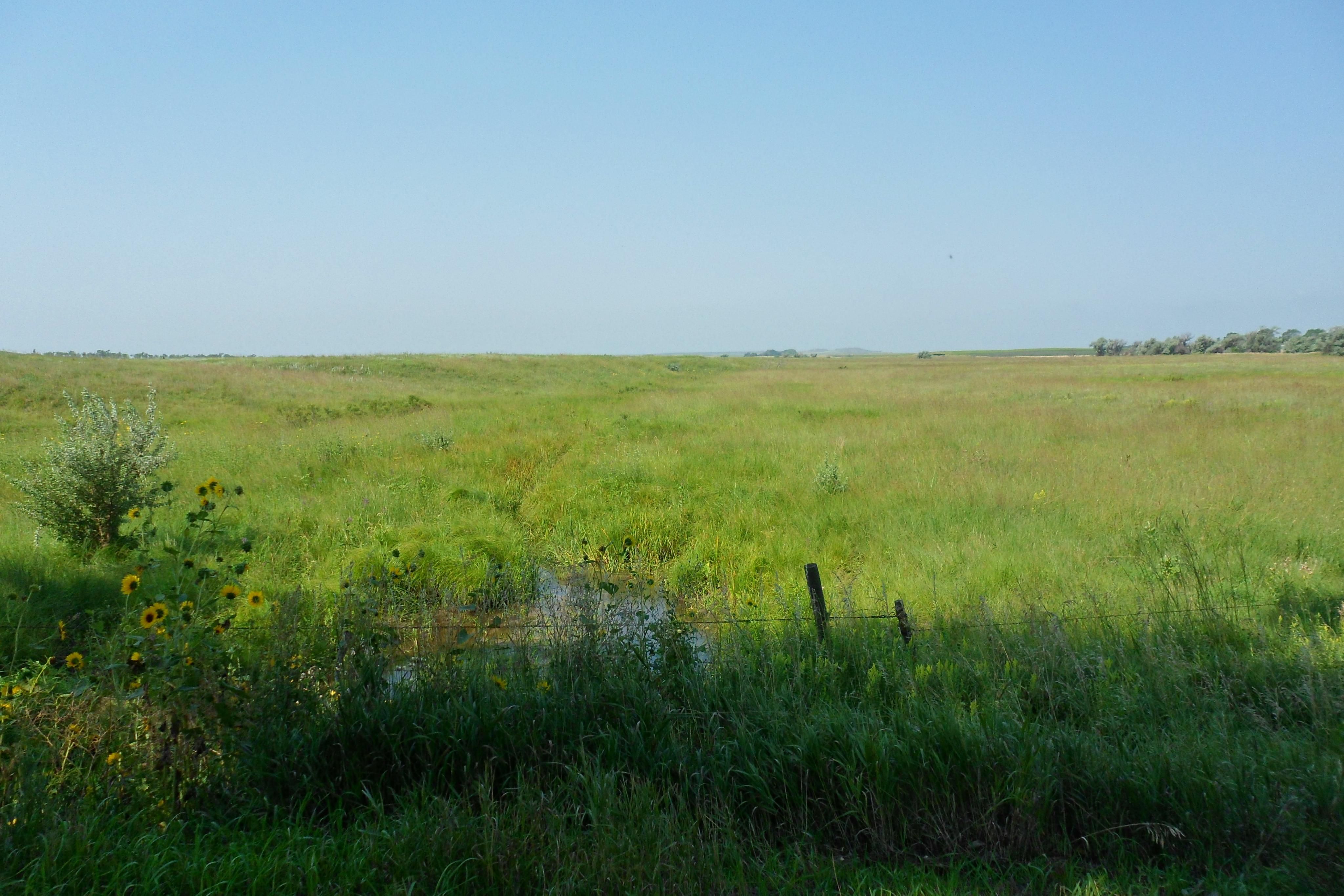 160 acres in Todd County, South Dakota