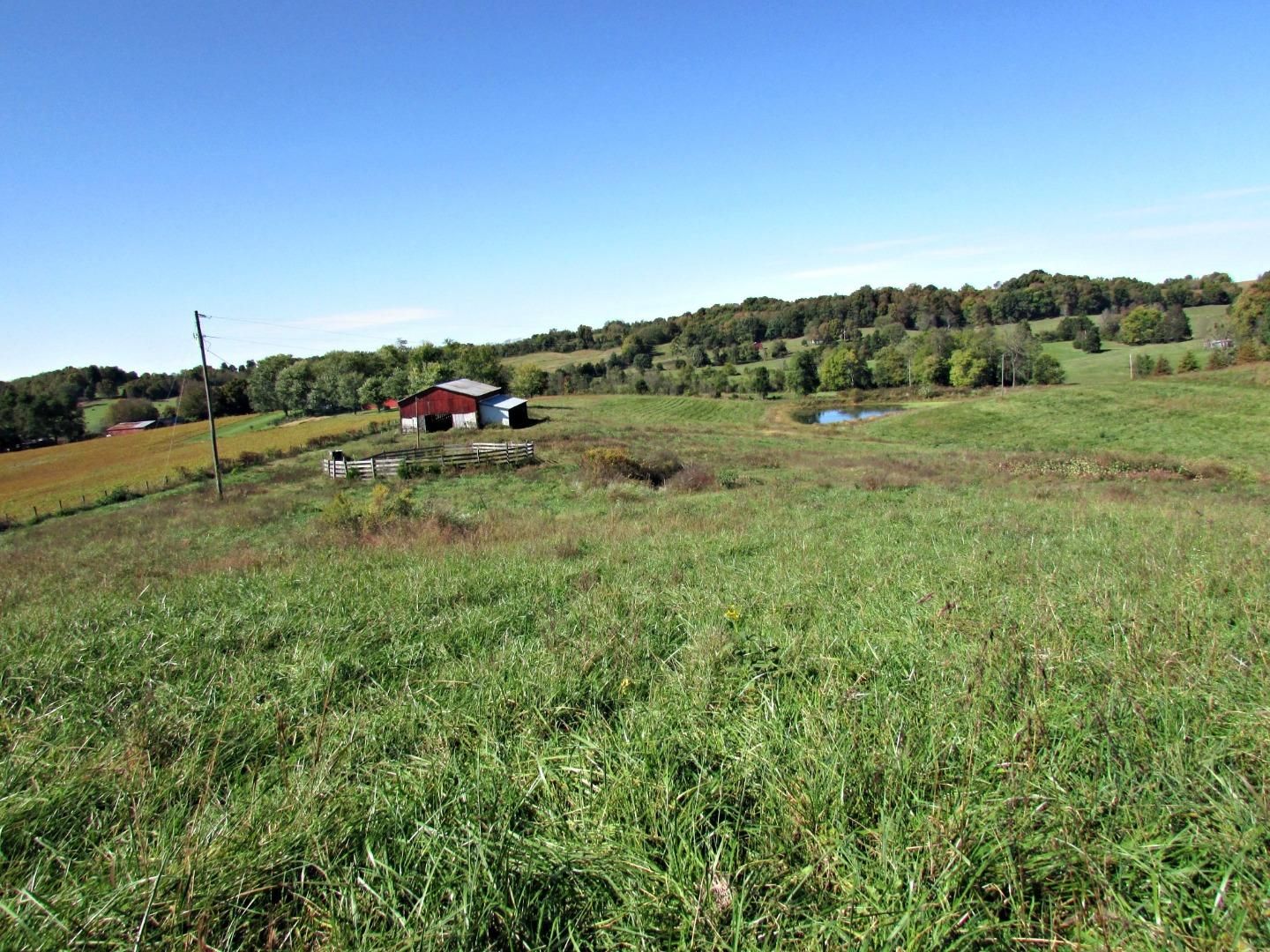 50 acres in Green County, Kentucky