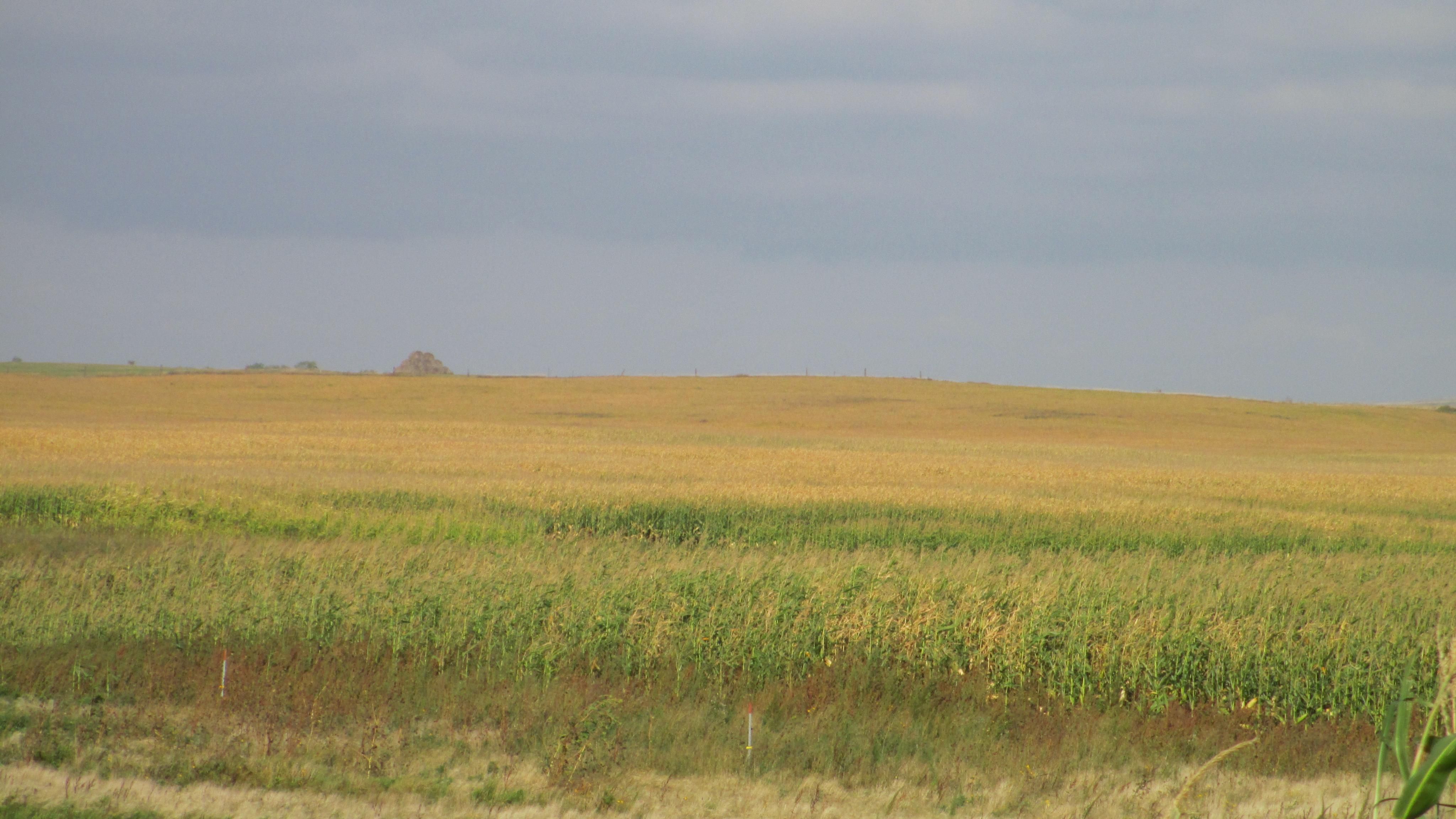 320.00 acres in Edmunds County, South Dakota
