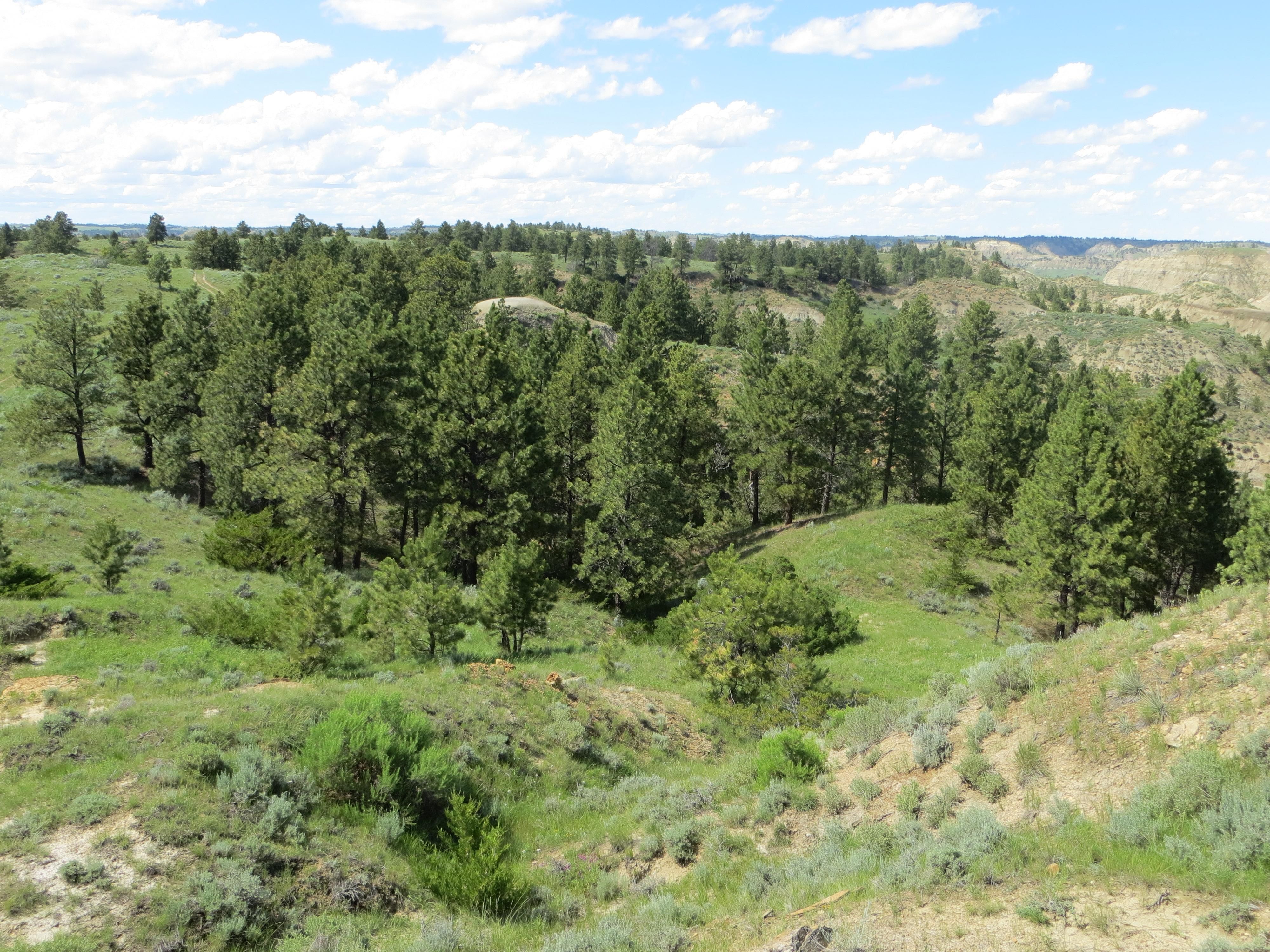 4,500 acres in Garfield County, Montana