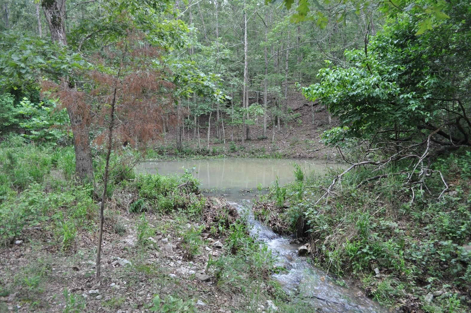 130 acres in Oregon County, Missouri