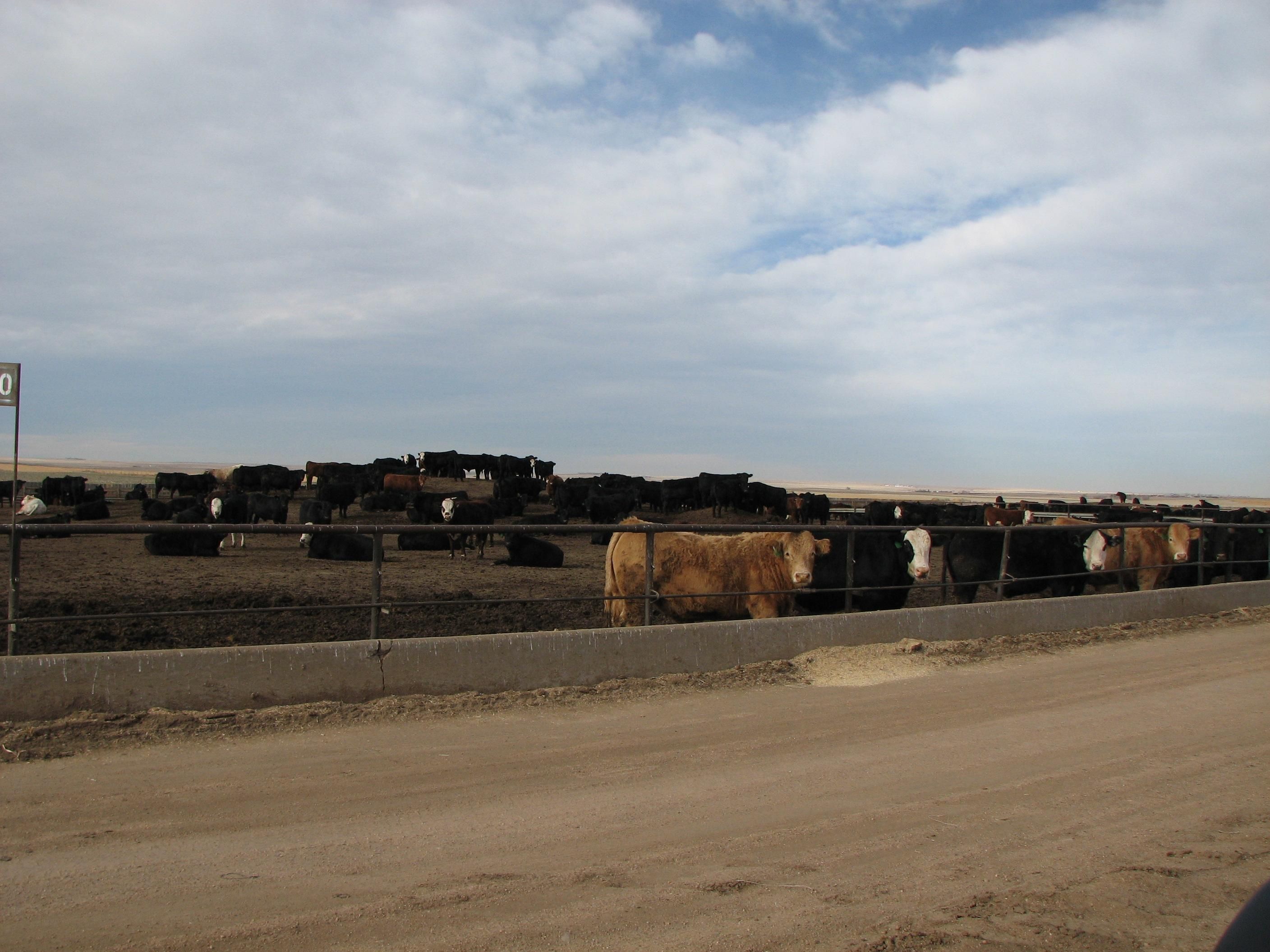 598 acres in Logan County, Colorado