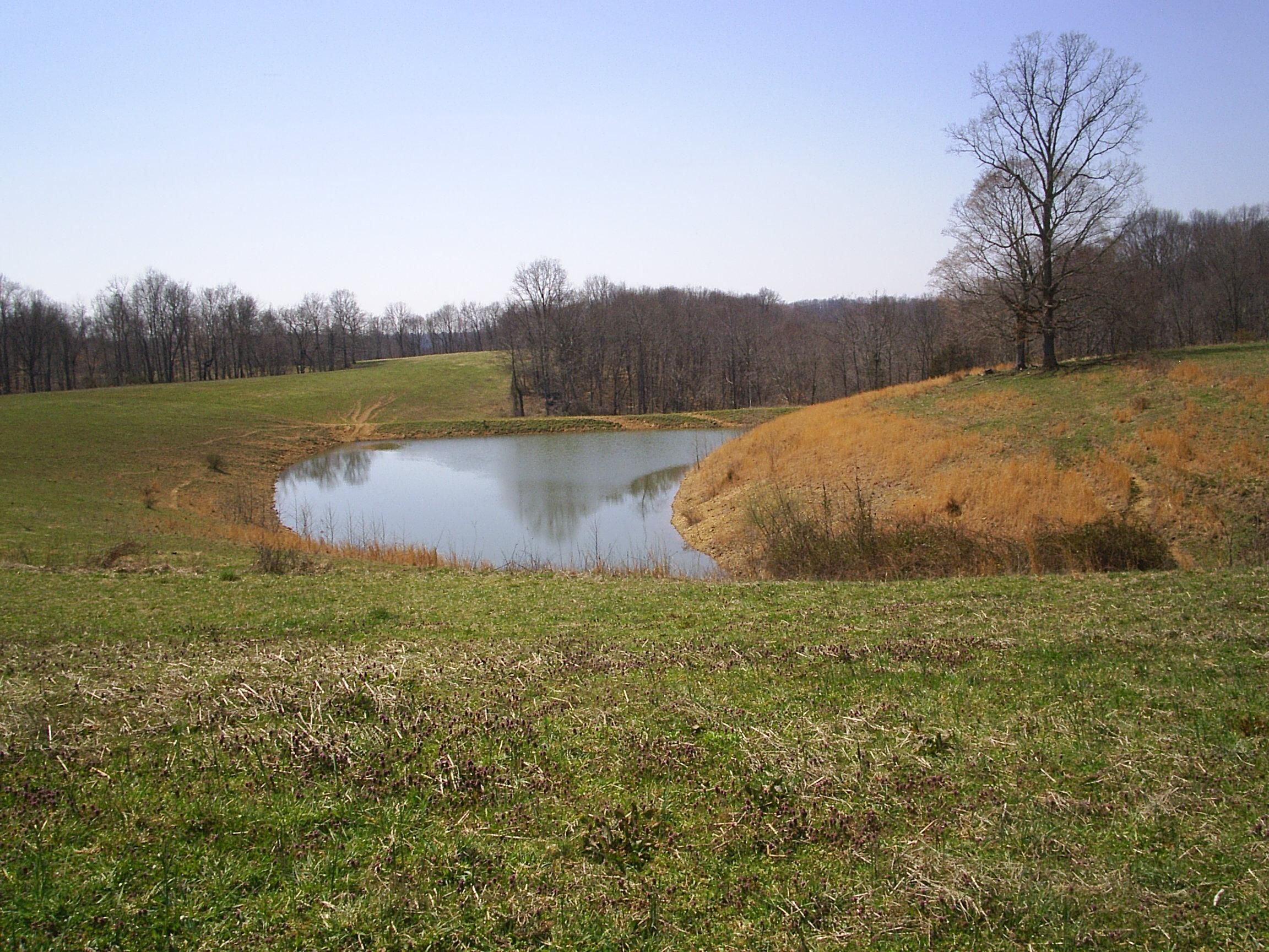 60 acres in Taylor County, Kentucky