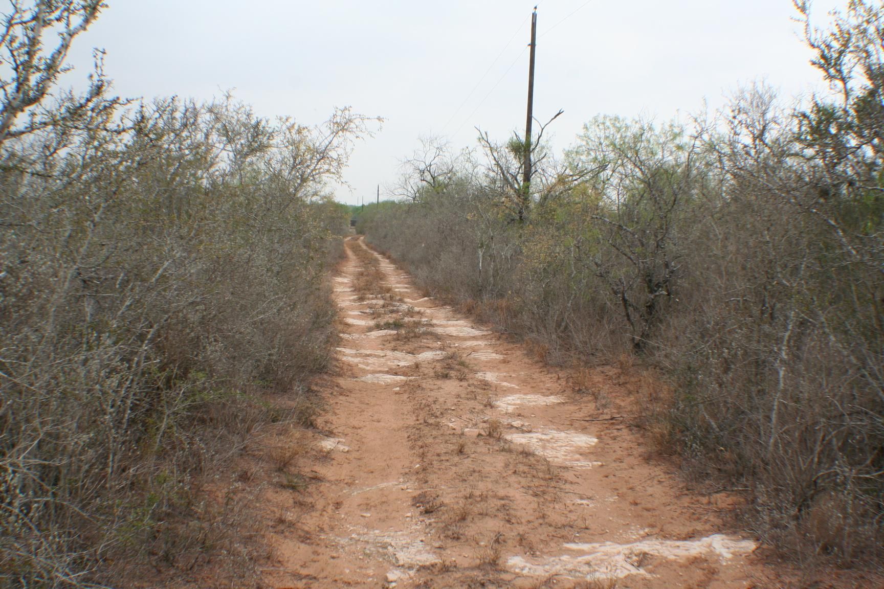 70.9 acres in Starr County, Texas