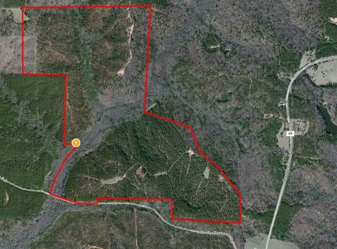 204 acres in Lamar County, Alabama