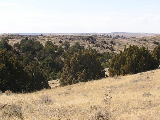 2,200 acres in Niobrara County, Wyoming